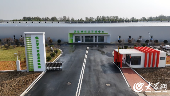 乡村振兴片区建设·临沂实践罗庄龙山片区：村居联动“握指成拳”奏响工农旅融合新篇章(图5)