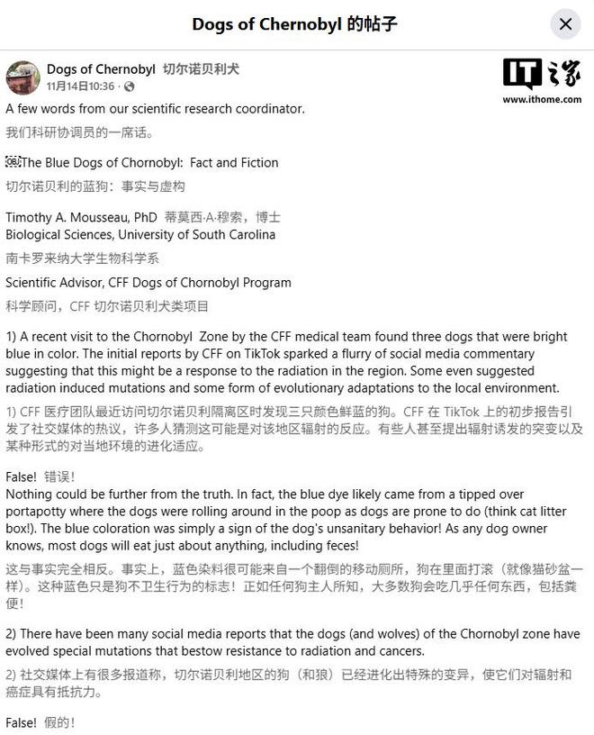 专家回应切尔诺贝利“蓝色流浪犬”：非辐射变异实为毛发被染色(图1)