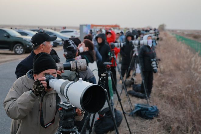 300余名摄影师聚焦黄河口鸟浪(图2)