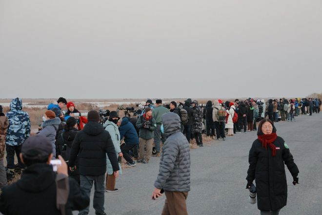 300余名摄影师聚焦黄河口鸟浪(图7)