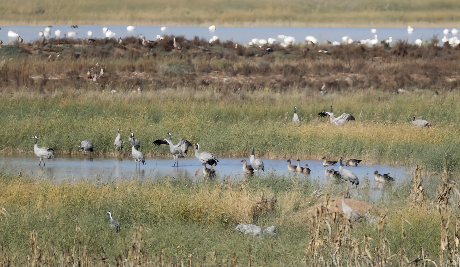 我们的“十四五”｜土右旗交出生态民生双优答卷(图2)