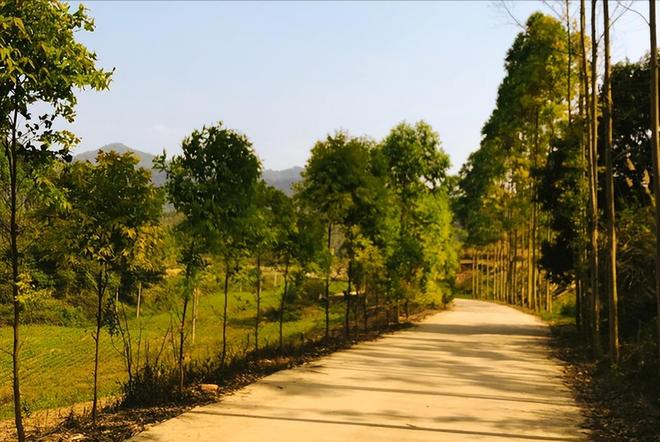 农村开始大升级！5个地方会出现“大变样”住农村的人有福了！(图1)