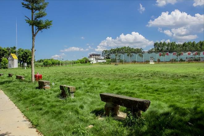 农村开始大升级！5个地方会出现“大变样”住农村的人有福了！(图6)