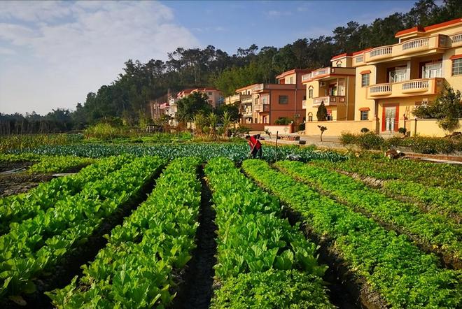 农村开始大升级！5个地方会出现“大变样”住农村的人有福了！(图3)