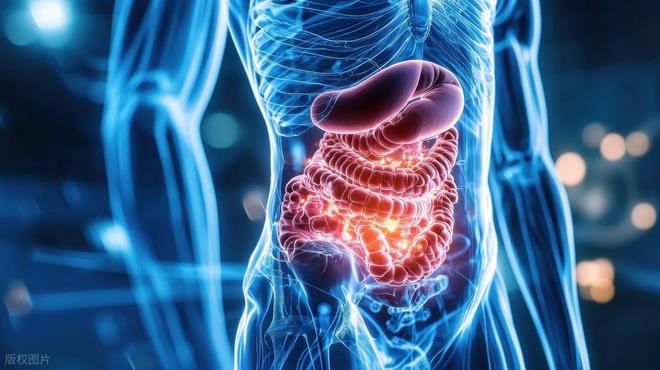 反复拉肚子多是这2个脏器虚!一盒中成药温阳固肠不再跑厕所(图4)