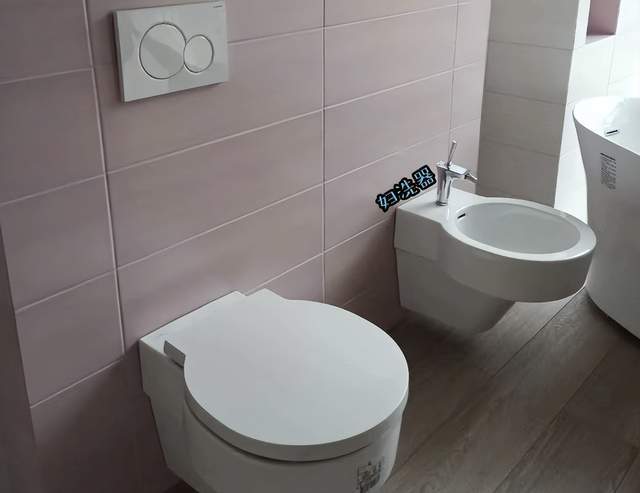 从红透半边天到“无人问津”这5个卫生间产品正在悄然淘汰(图3)