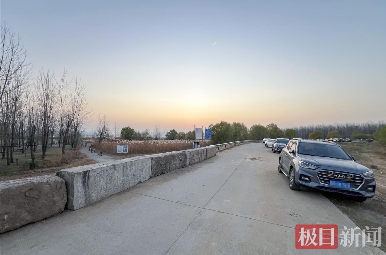 “鸟中大熊猫”黑鹳连续12年做客武汉天兴洲(图3)