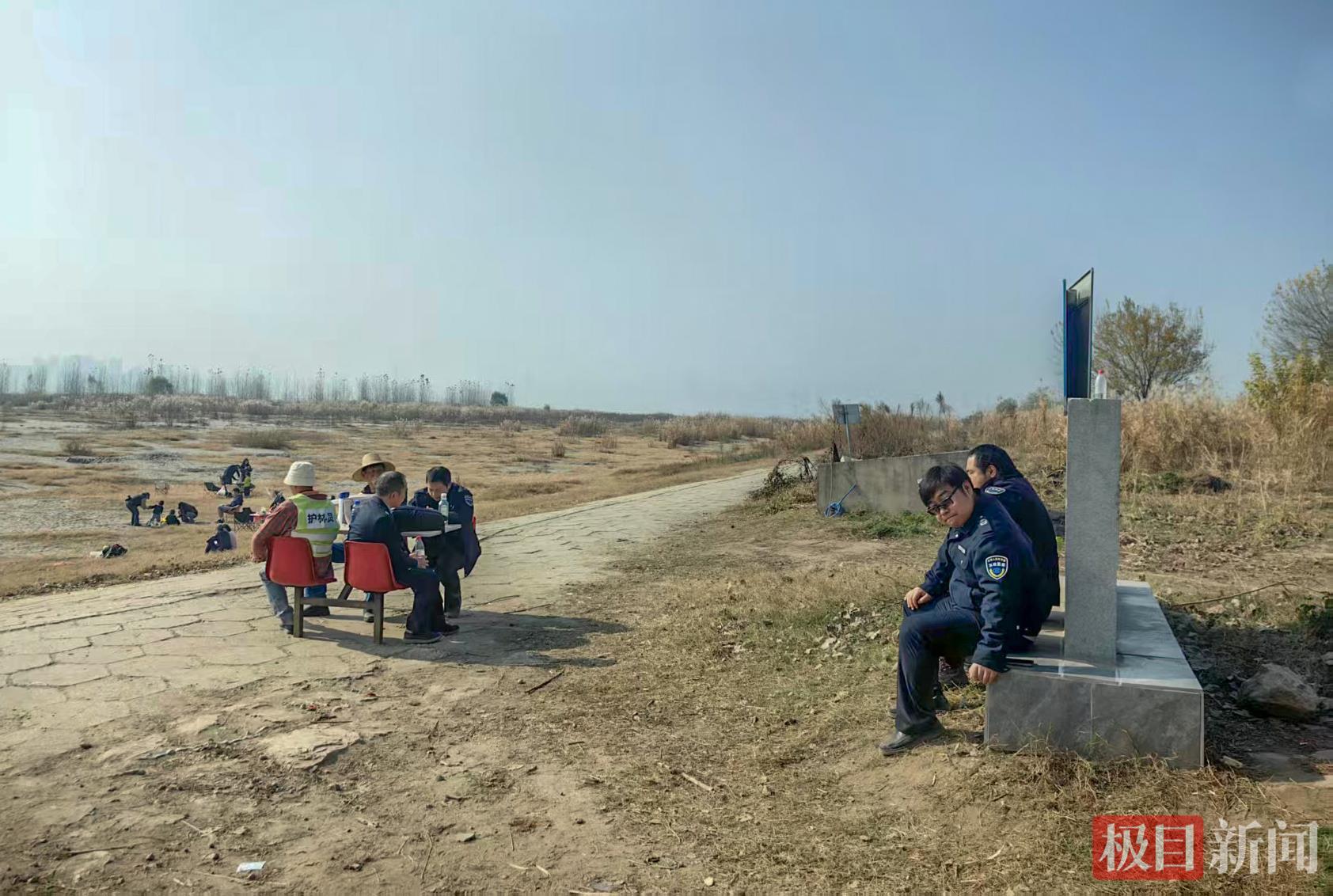 “鸟中大熊猫”黑鹳连续12年做客武汉天兴洲(图4)