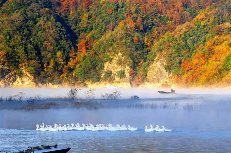 Kaiyun(中国体育):霍山县单龙寺镇扫帚河村:打造优质生活空间激活振兴动力(图2)