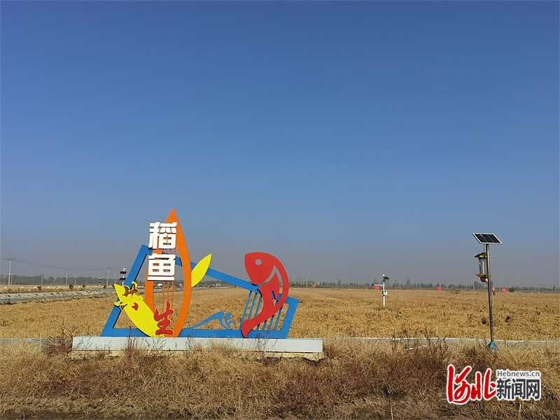 新闻纵深｜“十四五”微记忆④：盐碱地上的新农人(图3)