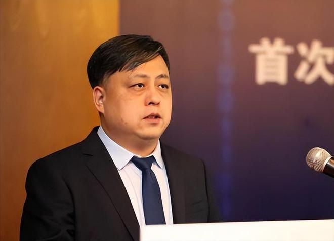 深圳手机巨头冲刺港交所!年入687亿销量全球第三(图14)