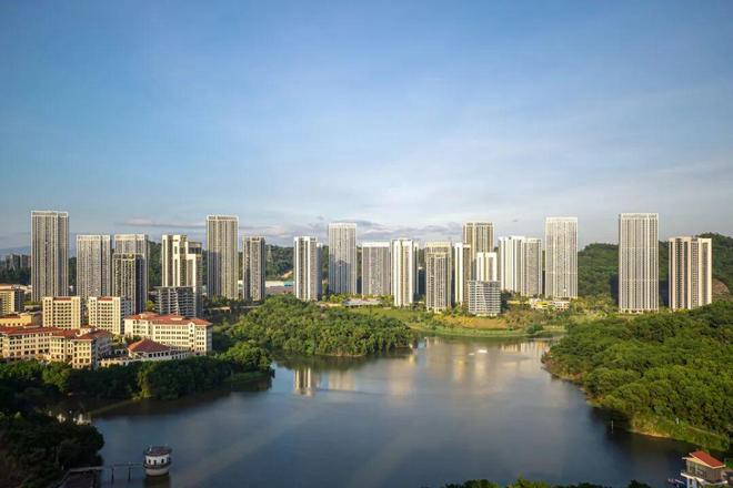 深圳龙岗坂田【天安1号】近100%使用率新规纯四房社区(图17)