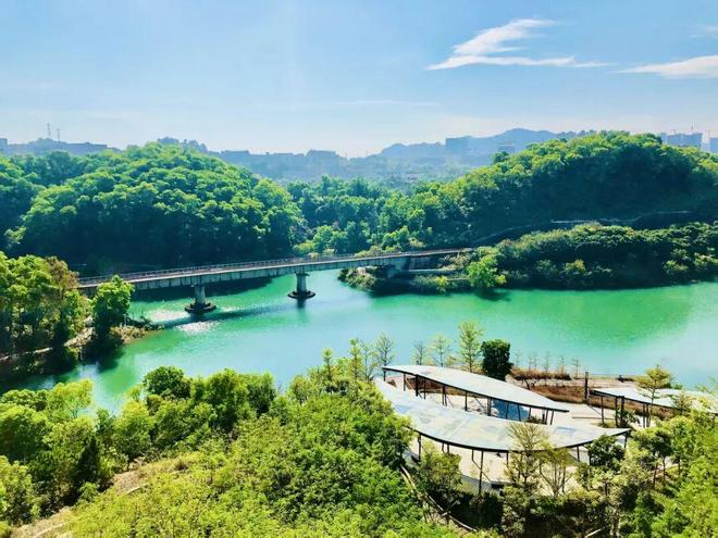 深圳龙岗坂田【天安1号】近100%使用率新规纯四房社区(图29)