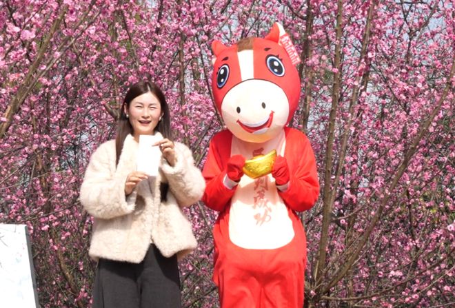 300亩梅花次第开邀您共赴“梅”好新春(图4)