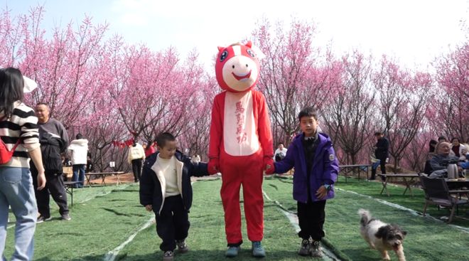 300亩梅花次第开邀您共赴“梅”好新春(图3)