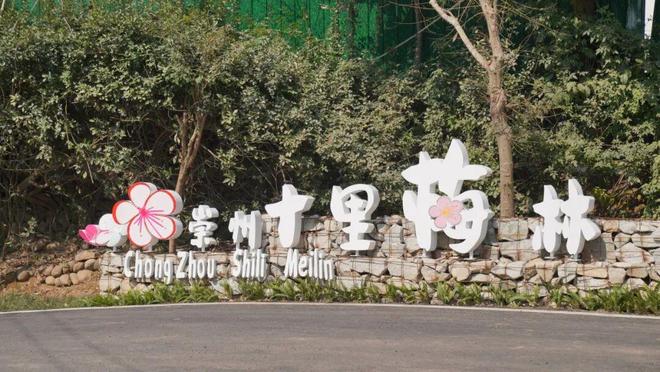 300亩梅花次第开邀您共赴“梅”好新春(图8)