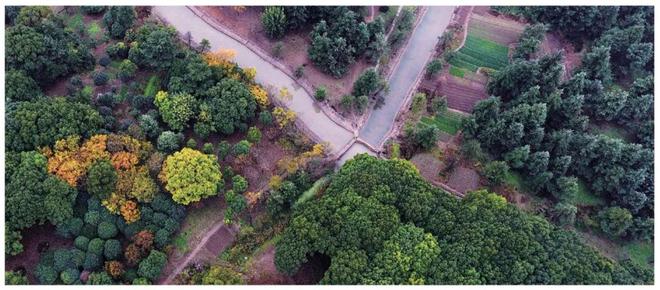 Kaiyun体育网站：上江南璟荟名庭2025最新动态详情丨房价户型位置配套(图31)