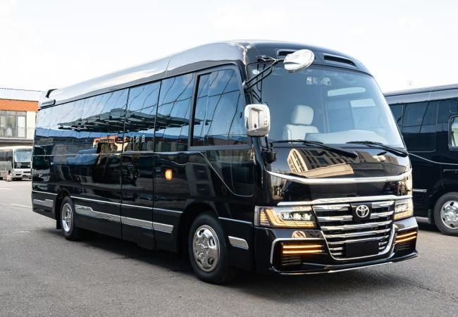 丰田海狮12座价格2025款考斯特12座多少钱(图1)