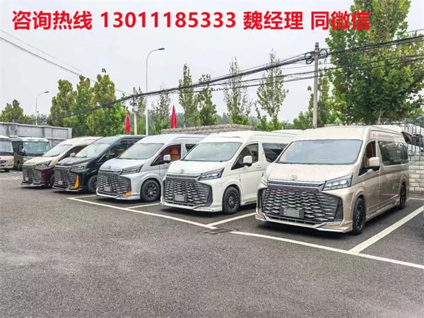 丰田海狮4s店2025款25款海狮凯撒皇冠版45-95万(图1)