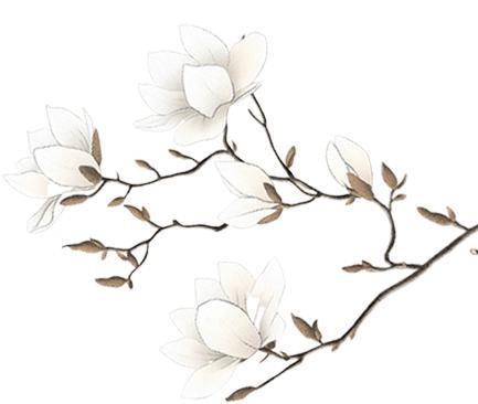 Kaiyun体育网站：以活化利用、活态传承让文化遗产在新时代焕发新活力(图2)