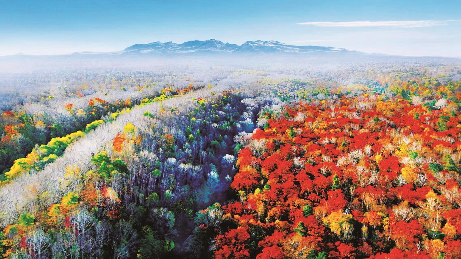 Kaiyun体育网站：沈白高铁开通这“泼天流量”长白山接住了(图7)