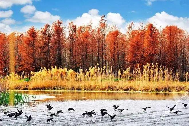 大名城映园映蓝售楼处-网站-楼盘百科-上海房天下热搜(图11)